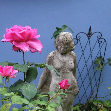 No.31 B&B Im Rosengarten Kapellen-Drusweiler Buitenkant foto